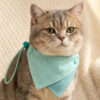 Mint Polka Dot Reversible Pet Bandana