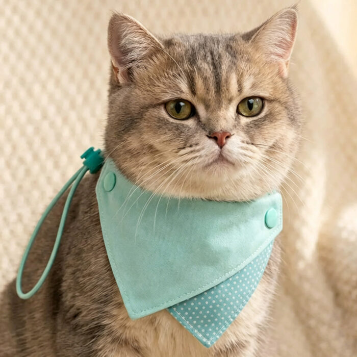Mint Polka Dot Reversible Pet Bandana