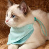 Mint Polka Dot Reversible Pet Bandana