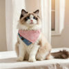 Pink & Blue Reversible Pet Bandana