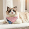 Pink & Blue Reversible Pet Bandana