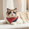Retro Red Striped Reversible Pet Bandana